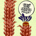 Story So Far - Under Soil & Dirt (19th Press/Yellow W/ Rainbow Splatter Vinyl) (Vinyl) (US Import)