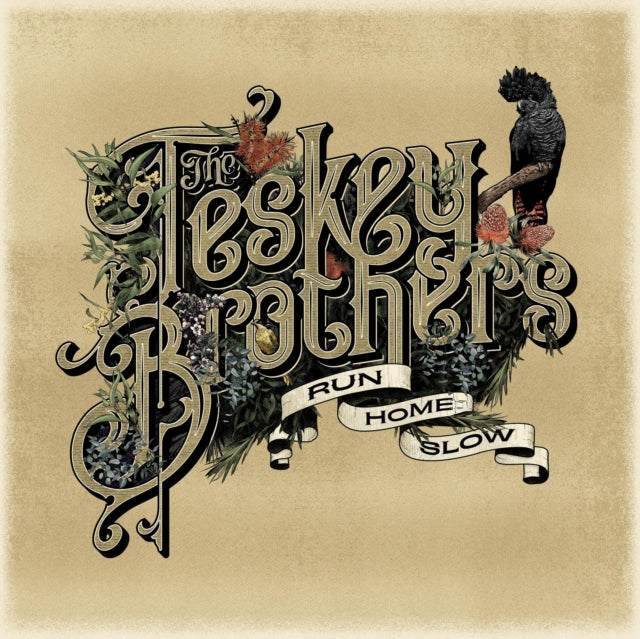 Teskey Brothers - Run Home Slow (CD) (US Import)