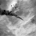 Half Moon Run - Blemish In The Great Light (White Vinyl) (Vinyl) (US Import)
