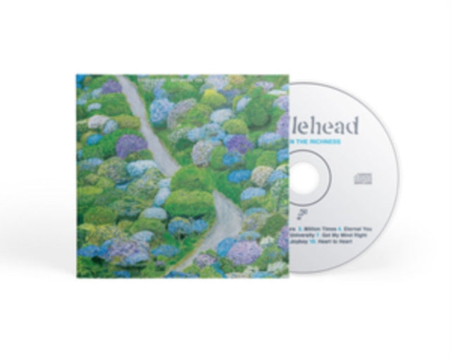 Fiddlehead - Between The Richness (CD)