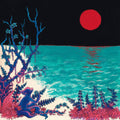 Glass Beach - First Glass Beach Album (Clear Vinyl/2LP) (Vinyl) (US Import)