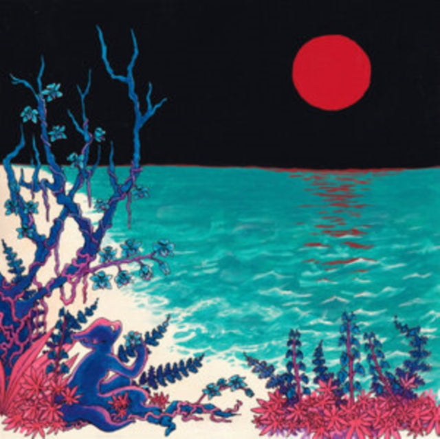 Glass Beach - First Glass Beach Album (Clear Vinyl/2LP) (Vinyl) (US Import)