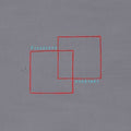 Pinegrove - Cardinal (Vinyl) (US Import)