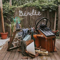 Slaughter Beach, Dog - Birdie (Vinyl) (US Import)