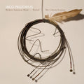 Jaco Pastorius - Modern American Music...Period! Criteria Sessions (Vinyl) (US Import)