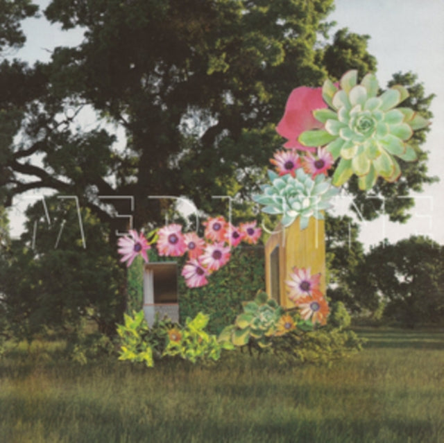 Medicine - Home Everywhere (Vinyl) (US Import)