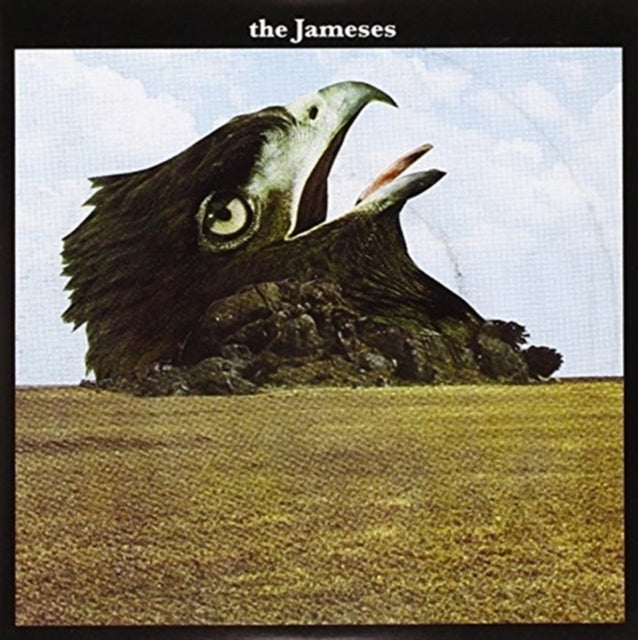 Jameses - Caribou (Vinyl Single) (US Import)