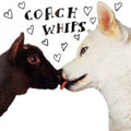 Coachwhips - Bangers VS. Fuckers (CD)