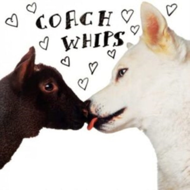 Coachwhips - Bangers VS. Fuckers (CD)