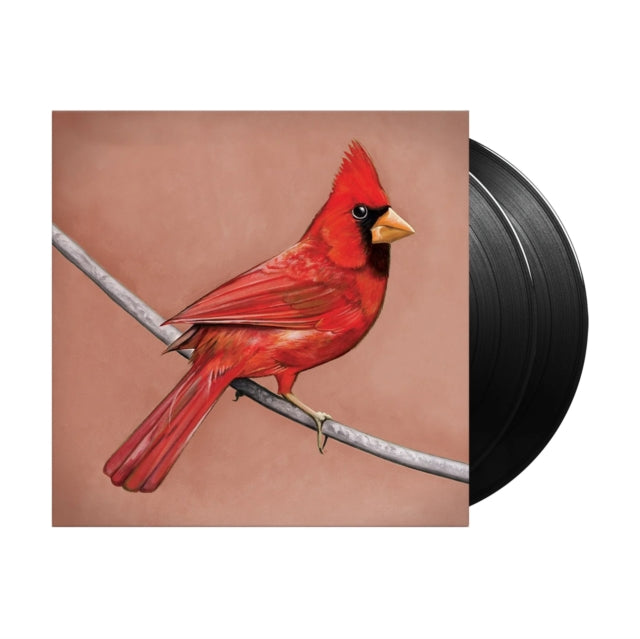 Alexisonfire - Old Crows/Young Cardinals (Vinyl) (US Import)