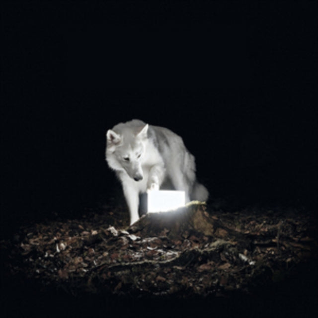 Vanishing Life - Surveillance (Vinyl) (US Import)