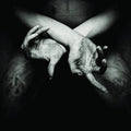 Shining - X - Varg Utan Flock (CD)