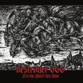 Destroyer 666 - To The Devil His Due (Vinyl) (US Import)