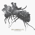 Bizarrekult - Den Tapte Krigen (Vinyl) (US Import)