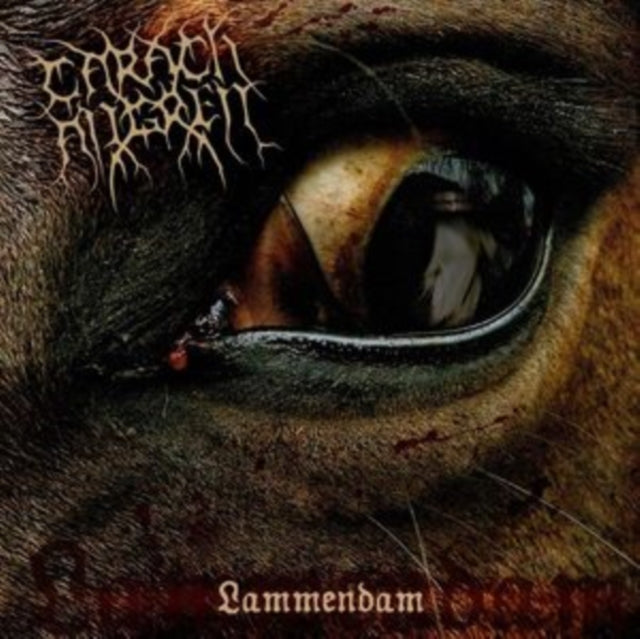 Carach Angren - Lammendam (2LP/Orange & Black Marbled Vinyl) (Vinyl) (US Import)