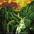 Carnation - Where Death Lies (Ltd/Red, White & Black Marbled Vinyl) (Vinyl) (US Import)