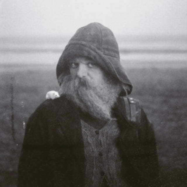 Mary In The Junkyard - Role Model Hermit (CD)