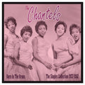 Chantels - Born In The Bronx: The Singles 1957-62 (Vinyl) (US Import)