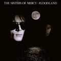 Sisters Of Mercy - Floodland (Vinyl) (US Import)