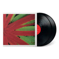 Jejune - This Afternoons Malady (2LP) (Vinyl) (US Import)