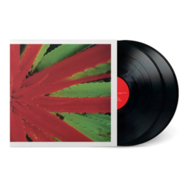 Jejune - This Afternoons Malady (2LP) (Vinyl) (US Import)