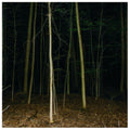 Express Rising - Fixed Rope II (CD)