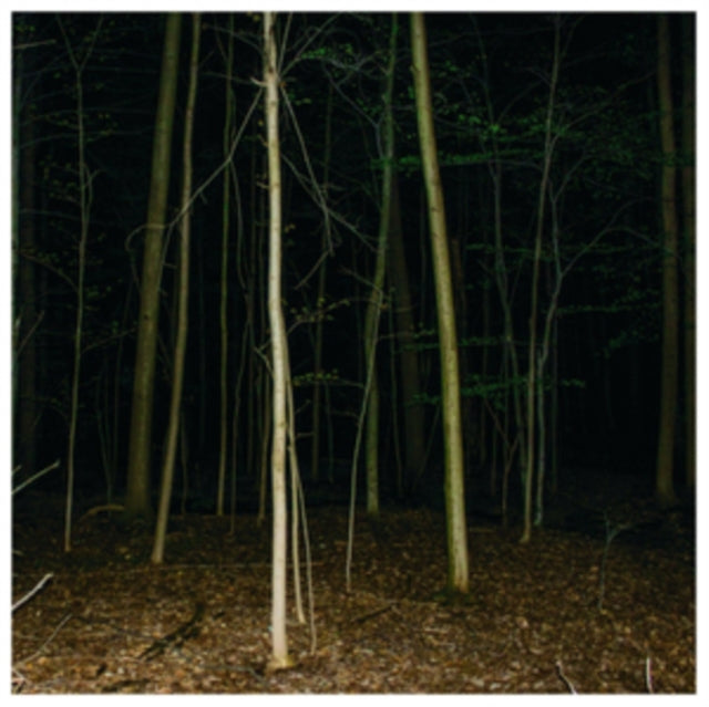 Express Rising - Fixed Rope II (CD)