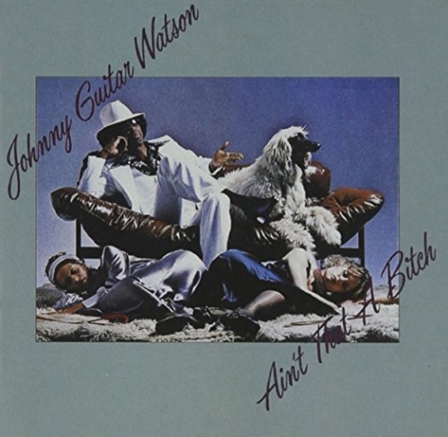Johnny Guitar Watson - Ain't That A Bitch (CD)