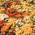 Brendan Canning - Home Wrecking Years (Vinyl) (US Import)