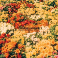 Brendan Canning - Home Wrecking Years (CD) (US Import)