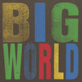 Hovvdy - Big World (Vinyl) (US Import)
