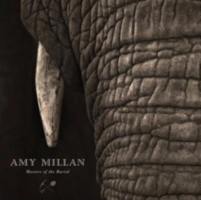 Amy Millan - Masters Of The Burial (Vinyl) (US Import)