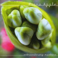 Fiona Apple - Extraordinary Machine (CD)