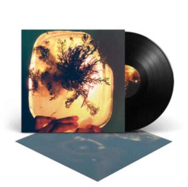 L'Rain - Fata Morgana (Vinyl) (US Import)