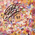 Bimbo - Bimbonacci Sequence (Neon Pink/Clear Color-In-Color Vinyl) (Vinyl) (US Import)