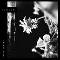 Jinjer - Wallflowers (Vinyl) (US Import)