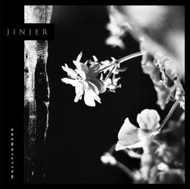 Jinjer - Wallflowers (Vinyl) (US Import)