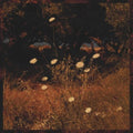 Szun Waves - Earth Patterns (CD)