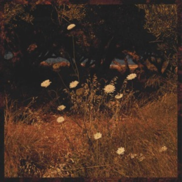 Szun Waves - Earth Patterns (CD)
