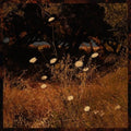 Szun Waves - Earth Patterns (Brown Smoke Vinyl) (I) (Vinyl) (US Import)