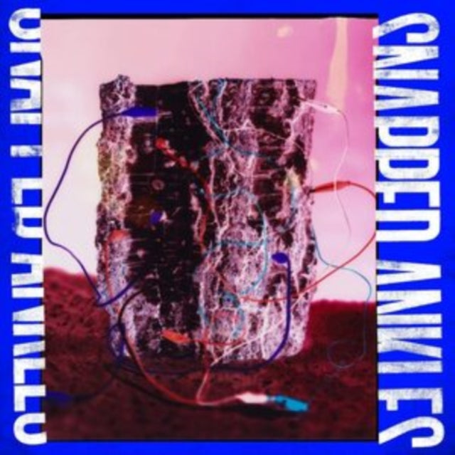 Snapped Ankles - Forest Of Your Problems (The Protester Edition) (Forest Floor Recycled Vinyl/DL Card) (I) (Vinyl) (US Import)