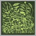 Kirk Barley - Lux (Vinyl) (US Import)