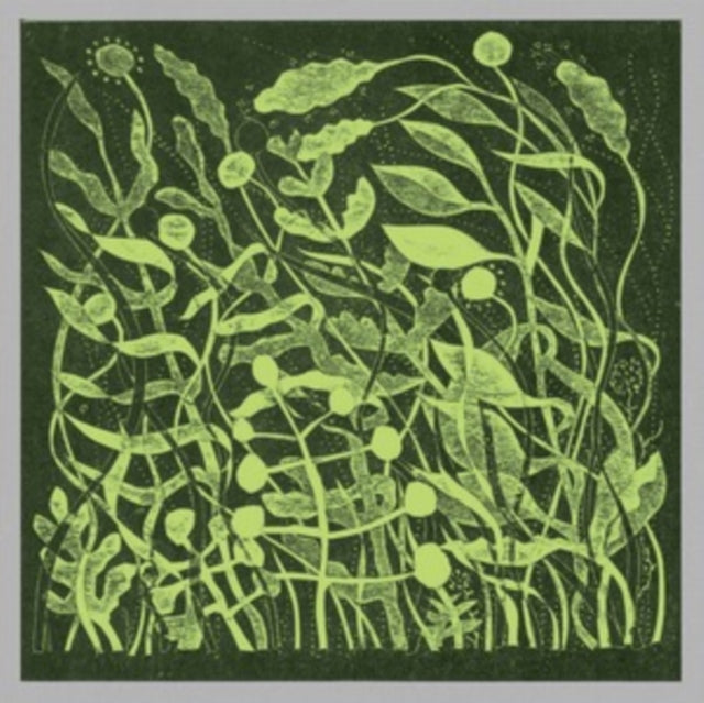 Kirk Barley - Lux (Vinyl) (US Import)