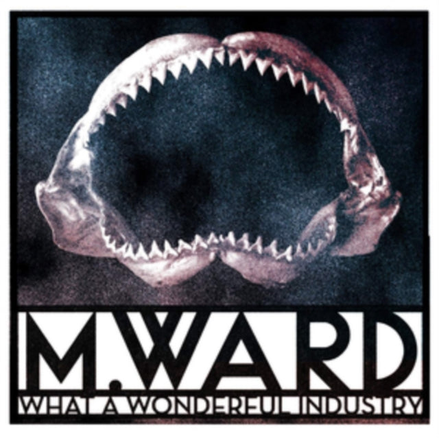 M. Ward - What A Wonderful Industry (CD)
