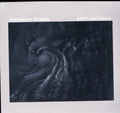 Pregnant Women - Soft Features (Vinyl) (US Import)
