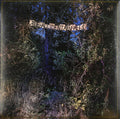 Eyelids - Accidental Falls (Ice Blue Vinyl/DL Card) (I) (Vinyl) (US Import)