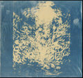 Sanguine Eagle - Shores Of Avarice (Vinyl) (US Import)