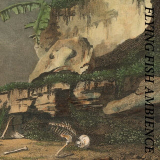 Rainforest Spiritual Enslavement - Flying Fish Ambience (CD)