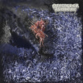 Of Feather & Bone - Sulfuric Disintegration (Vinyl) (US Import)