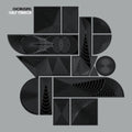 Chorusing - Half Mirror (Vinyl) (US Import)
